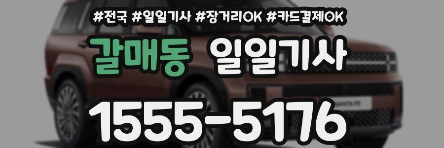 갈매동 일일기사