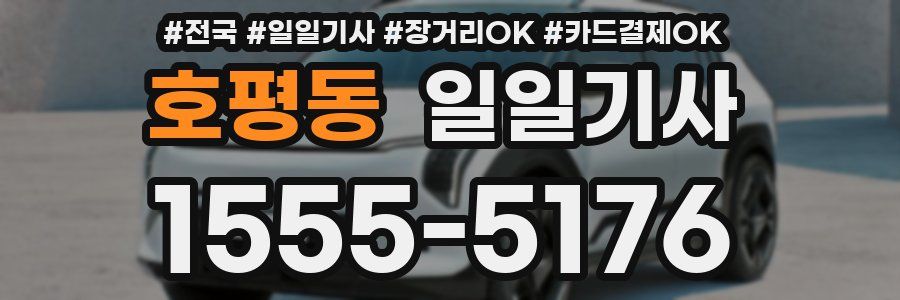 호평동 일일기사