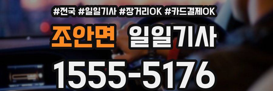 조안면 일일기사