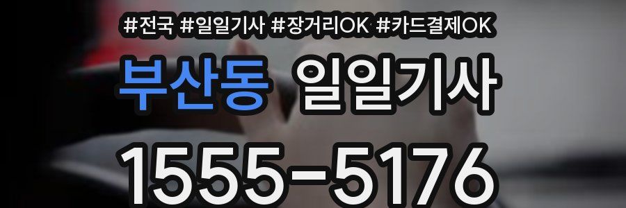 부산동 일일기사