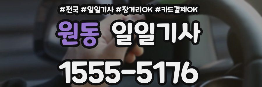 원동 일일기사
