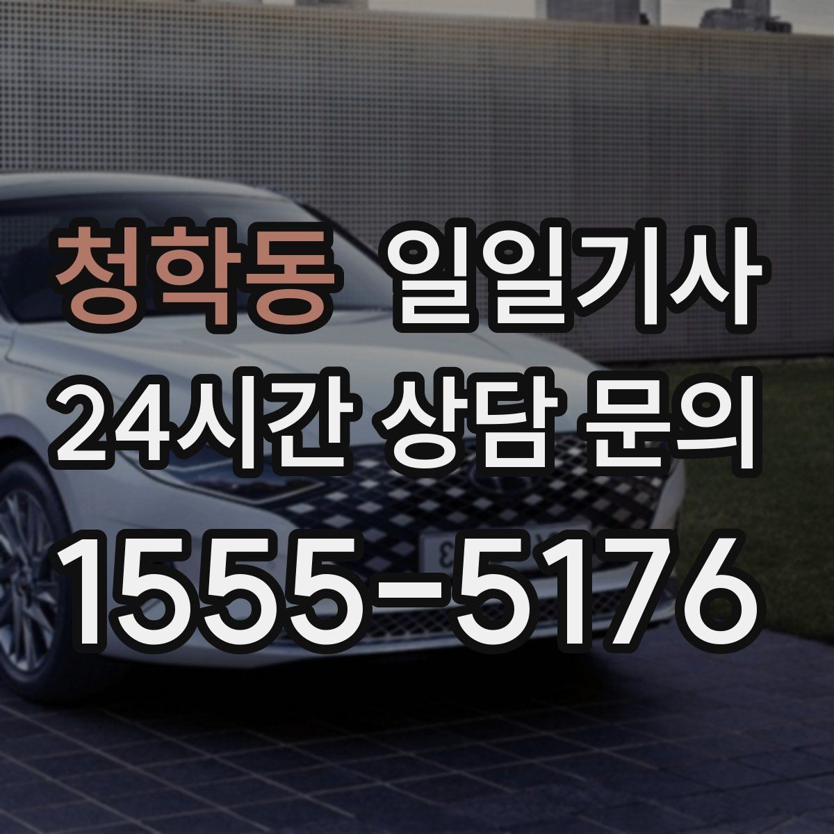청학동 일일기사 장거리 복귀에도 컨디션 지킴