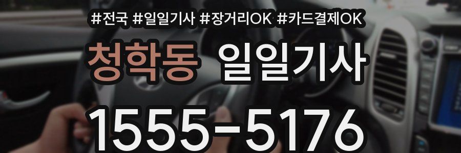 청학동 일일기사