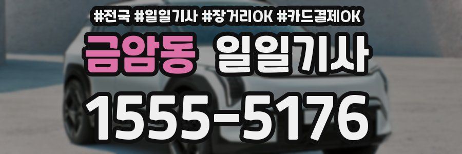 금암동 일일기사