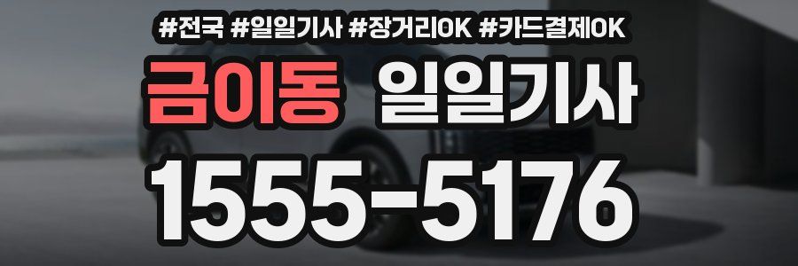 금이동 일일기사