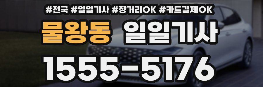 물왕동 일일기사