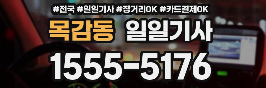 목감동 일일기사