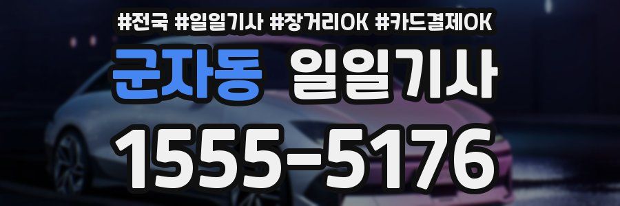 군자동 일일기사