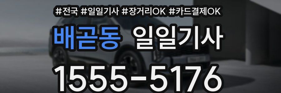 배곧동 일일기사