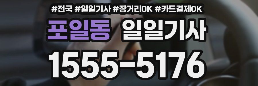 포일동 일일기사