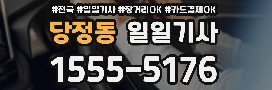 당정동 일일기사
