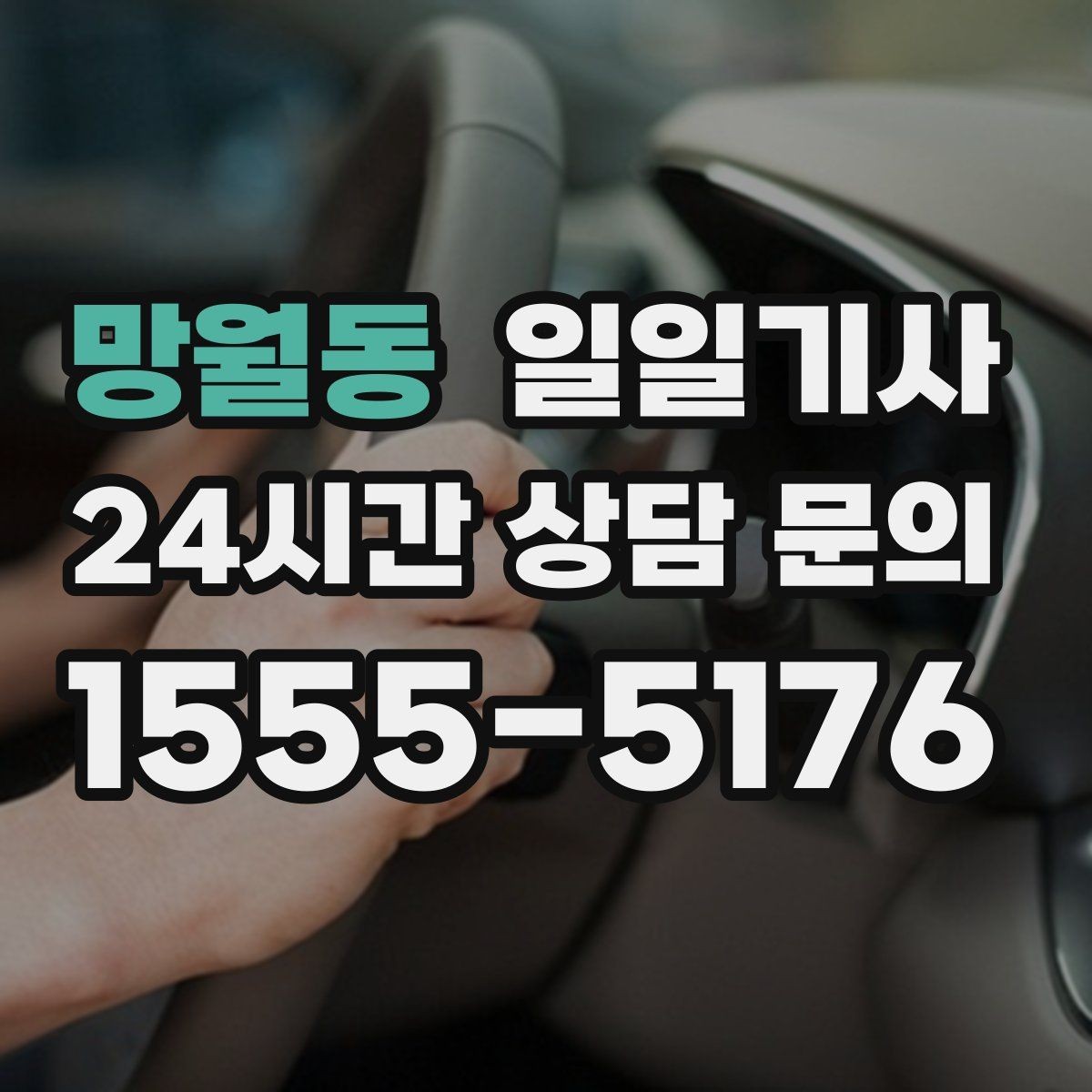 망월동 일일기사 종일 외근 하루에 정리