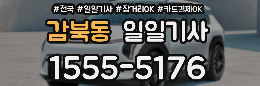 감북동 일일기사