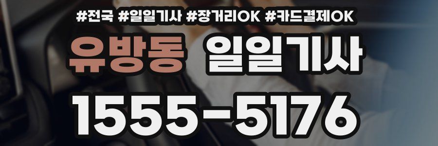 유방동 일일기사