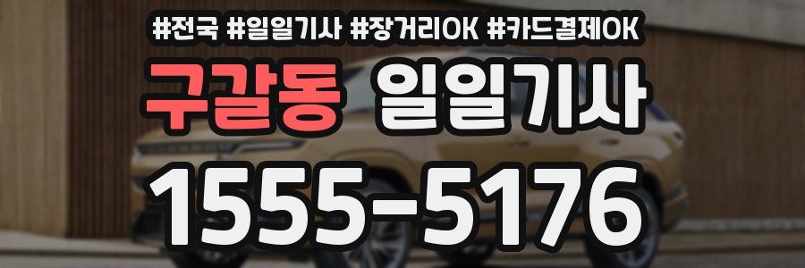 구갈동 일일기사