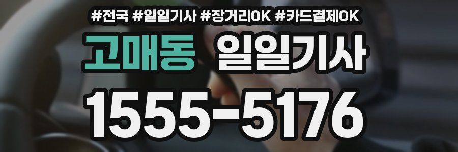 고매동 일일기사