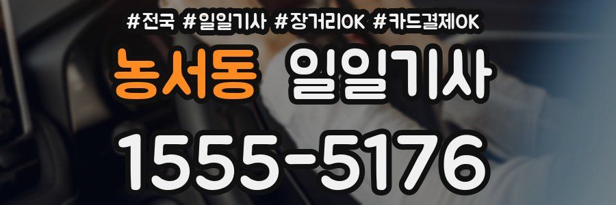 농서동 일일기사