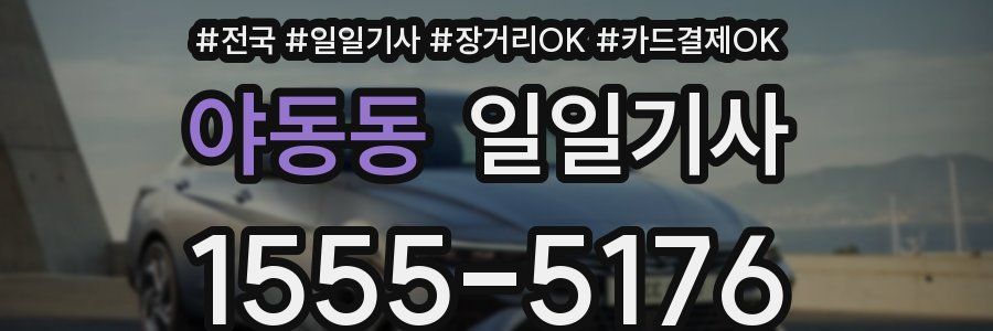 야동동 일일기사