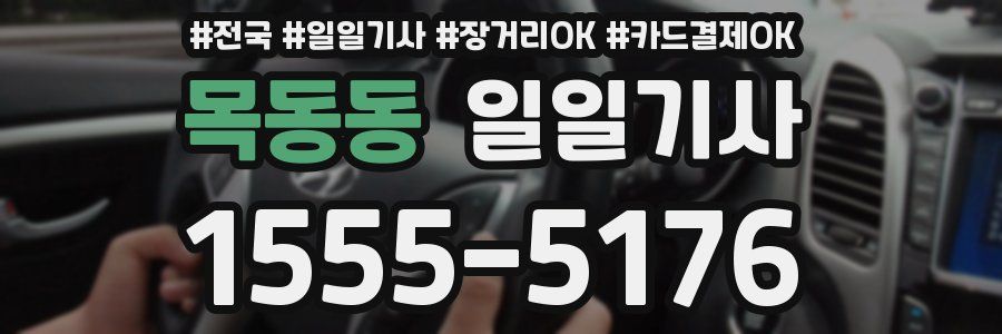 목동동 일일기사