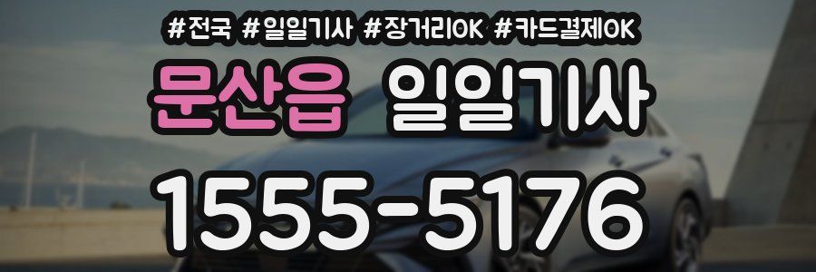 문산읍 일일기사