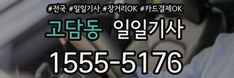 고담동 일일기사