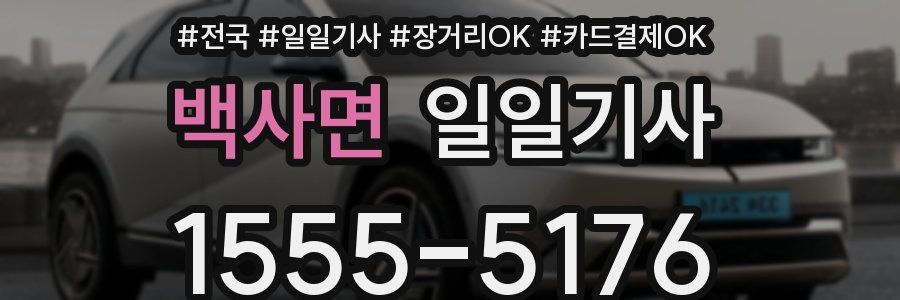 백사면 일일기사