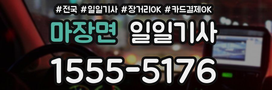 마장면 일일기사