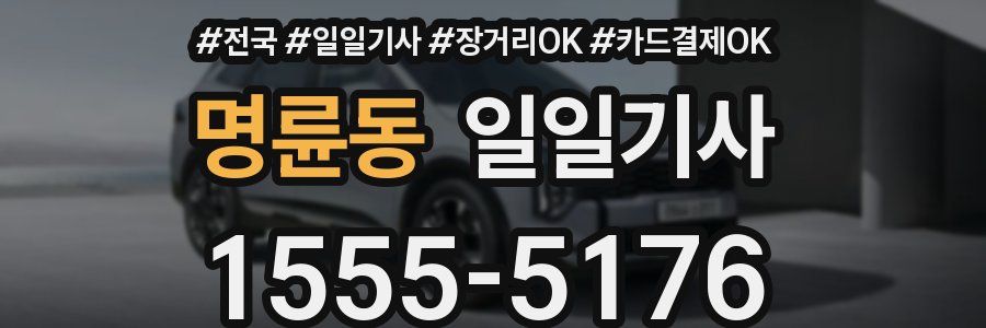 명륜동 일일기사