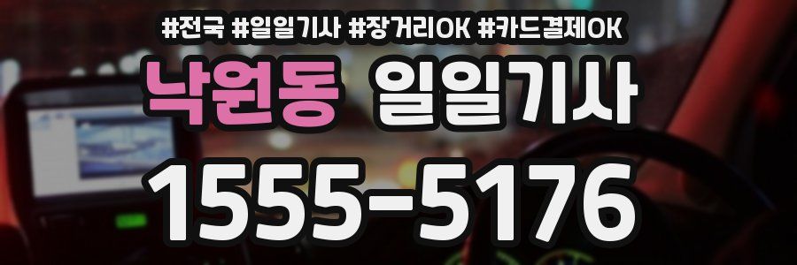 낙원동 일일기사