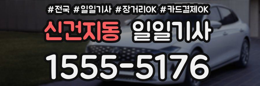 신건지동 일일기사