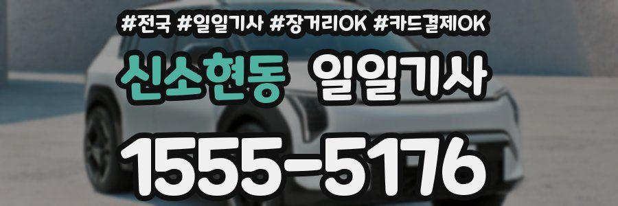 신소현동 일일기사