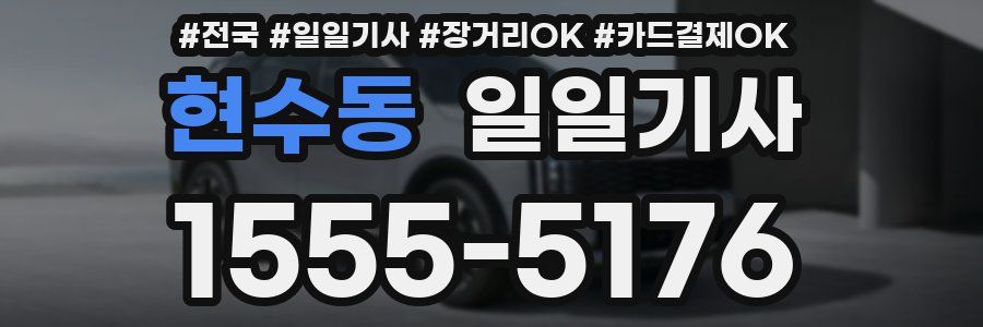 현수동 일일기사