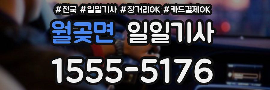 월곶면 일일기사