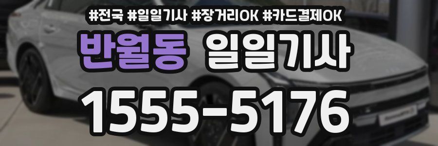 반월동 일일기사