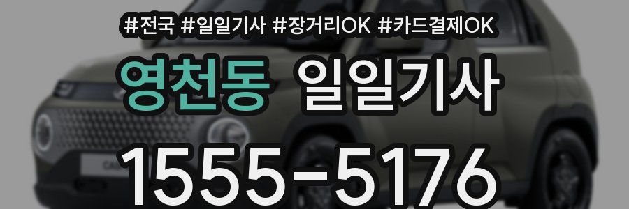 영천동 일일기사