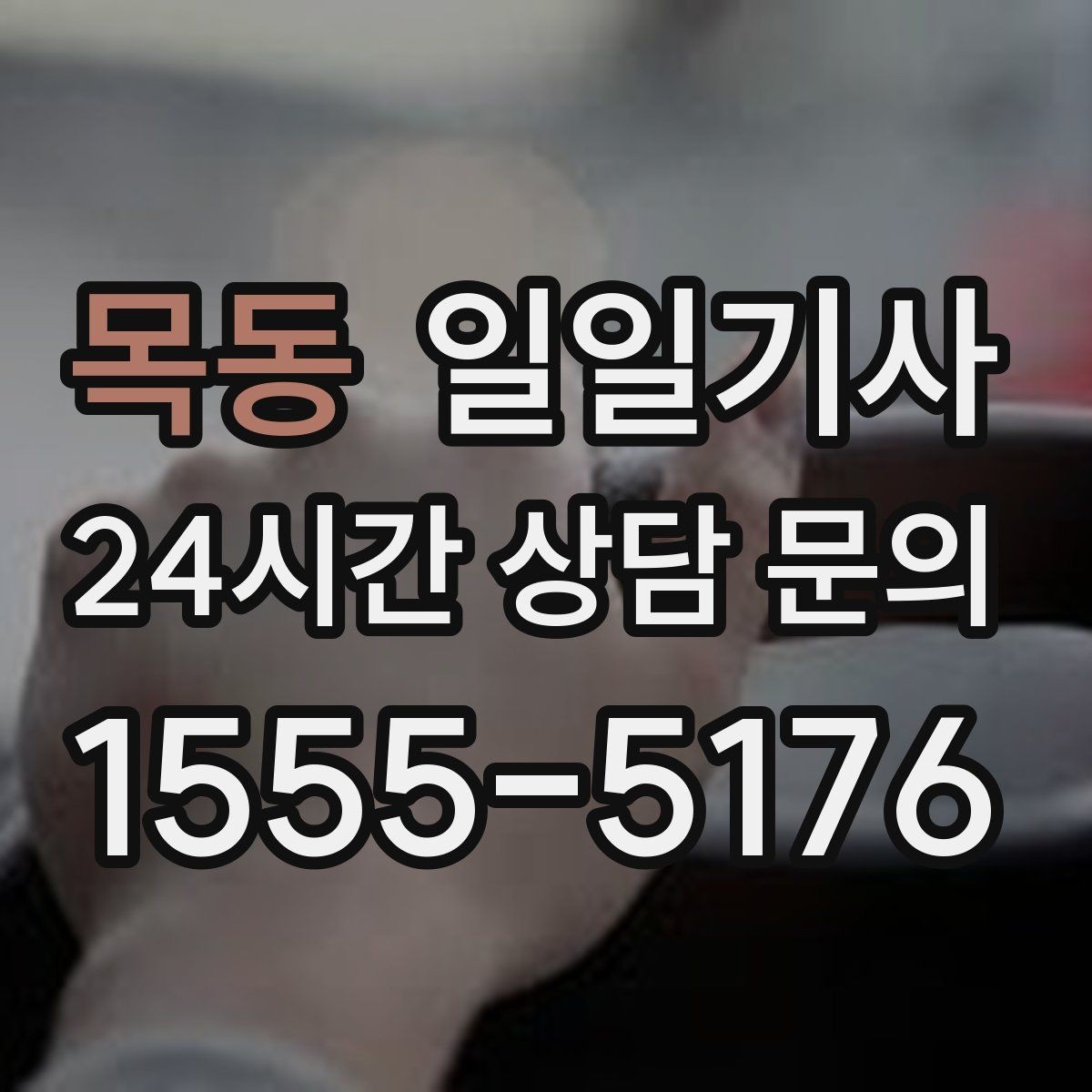 목동 일일기사 장거리 복귀 후에도 편안한 마무리