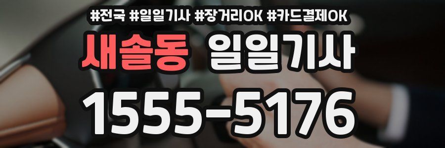 새솔동 일일기사