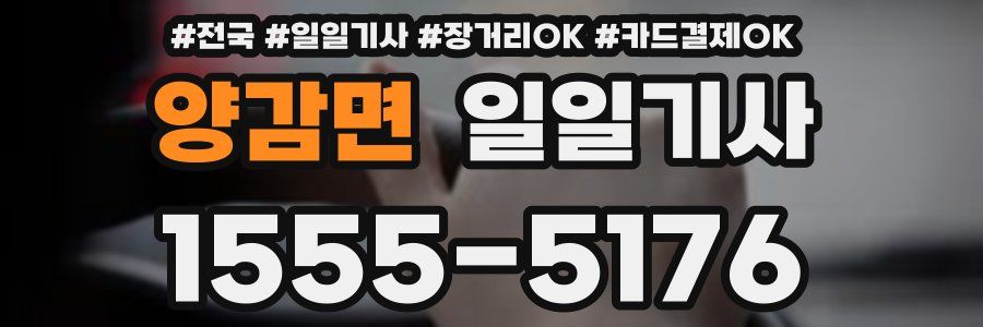 양감면 일일기사