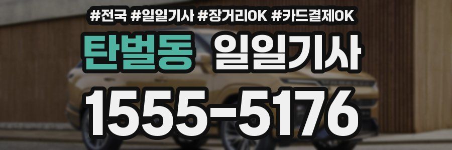 탄벌동 일일기사