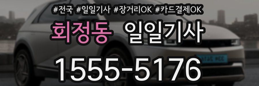 회정동 일일기사