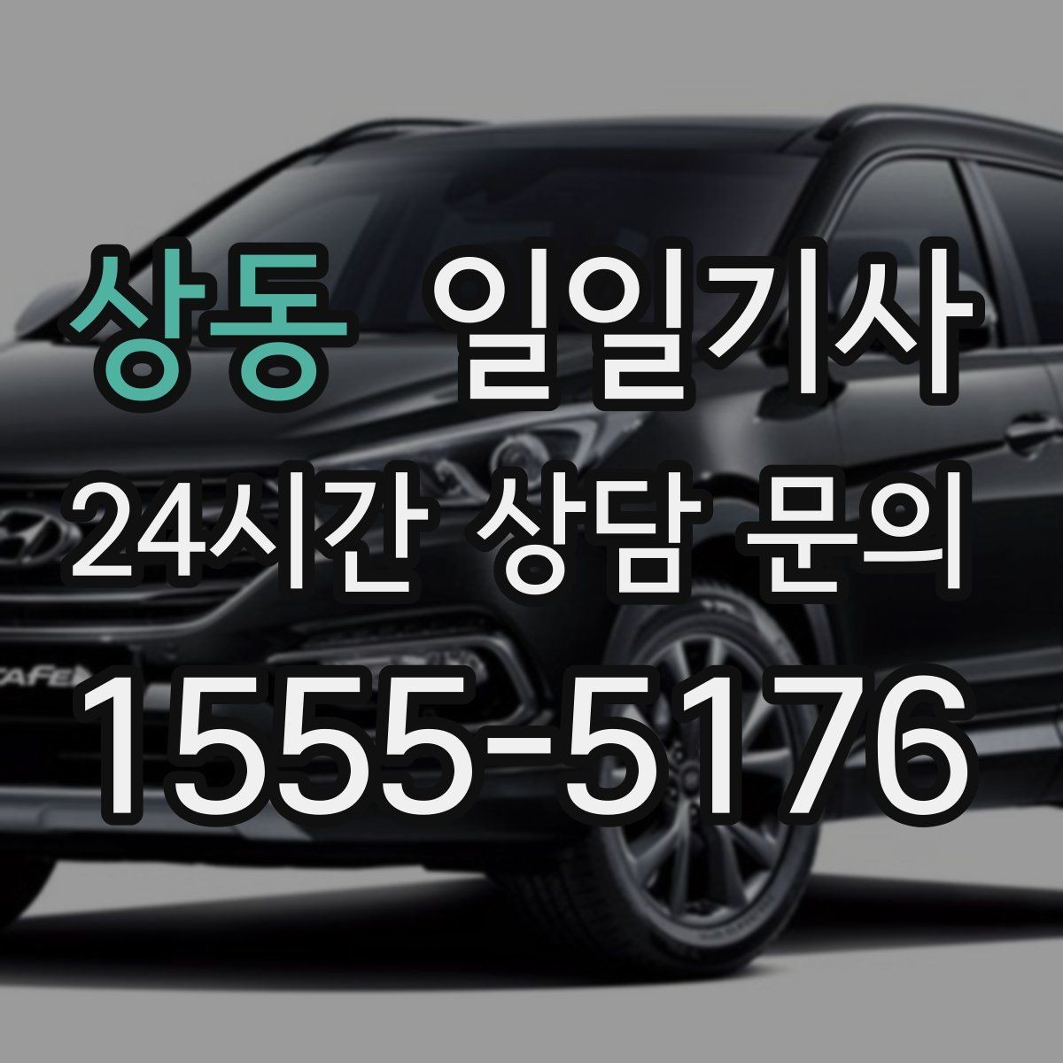 상동 일일기사 단체 라운드 왕복 예약