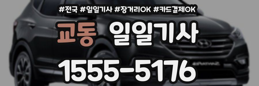 교동 일일기사