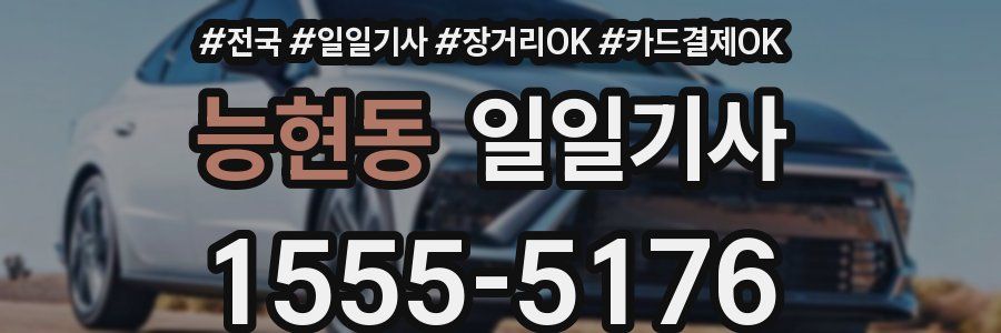 능현동 일일기사