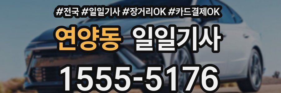 연양동 일일기사