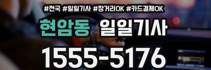 현암동 일일기사