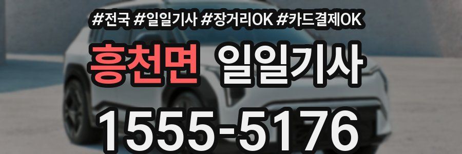 흥천면 일일기사