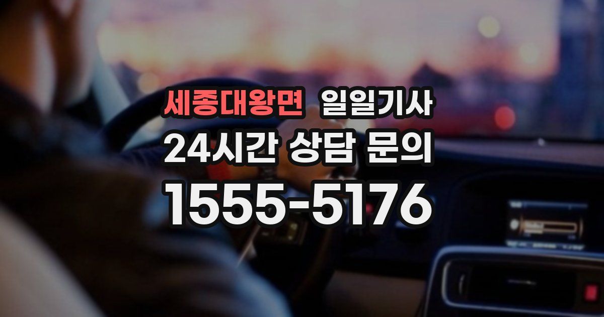 일일대리기사