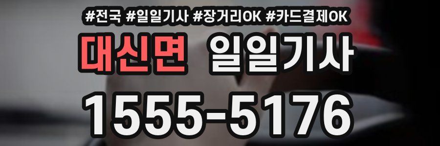 대신면 일일기사