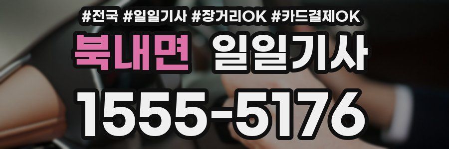 북내면 일일기사