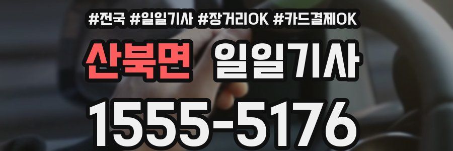 산북면 일일기사